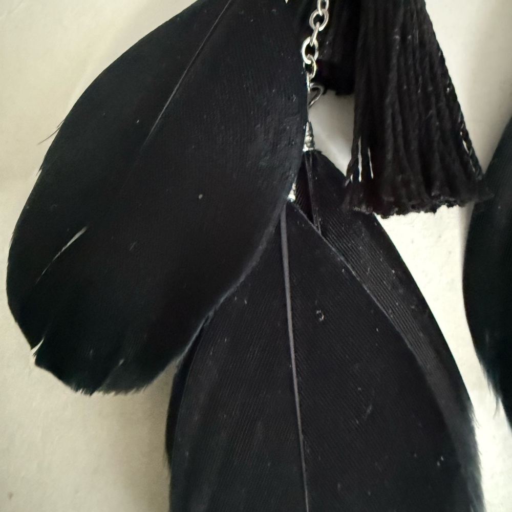 Chic Black Feather and Black Tassel Earrings - Picture 10 of 14